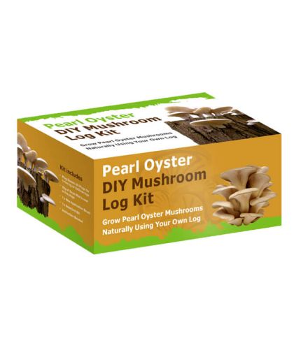 Mushroom grow Kit Boxes Wholesale